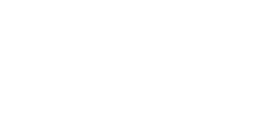 Bluffview Insurance Logo White